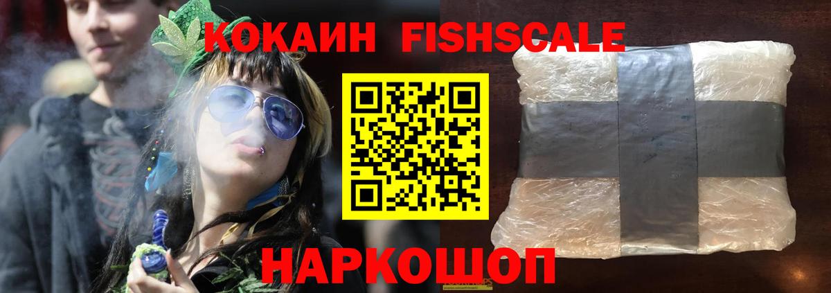как найти   Cocaine Fish Scale  Зима  Вход с VPN  Кокаин Columbia 