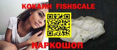 тгк Бийск
