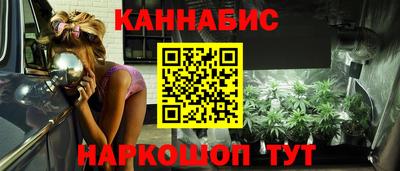 тгк Бийск