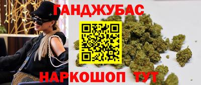 тгк Бийск