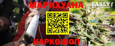 тгк Бийск