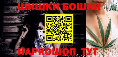 тгк Бийск