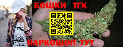 тгк Бийск