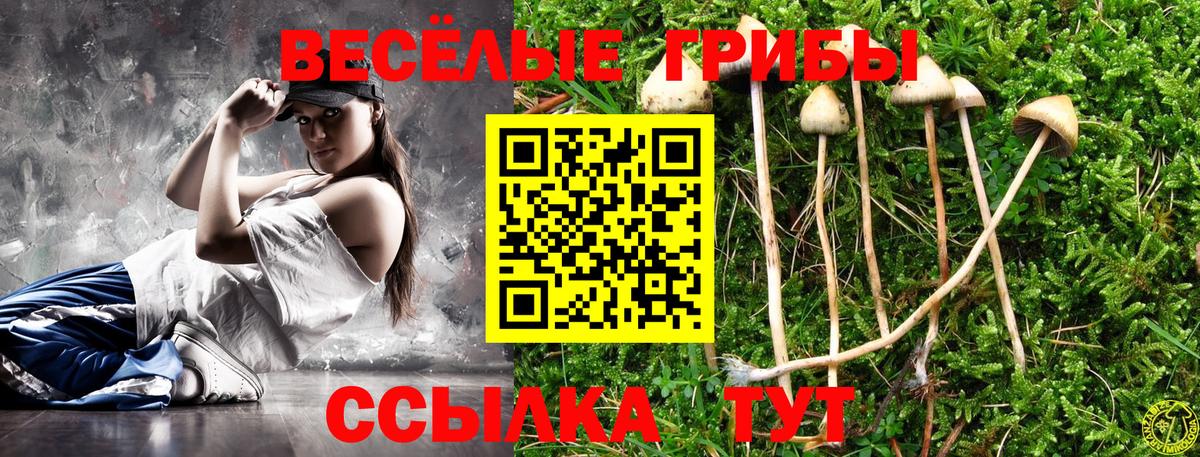 Галлюциногенные грибы мицелий  Галлюциногенные грибы мицелий  Зима  Вход с VPN 