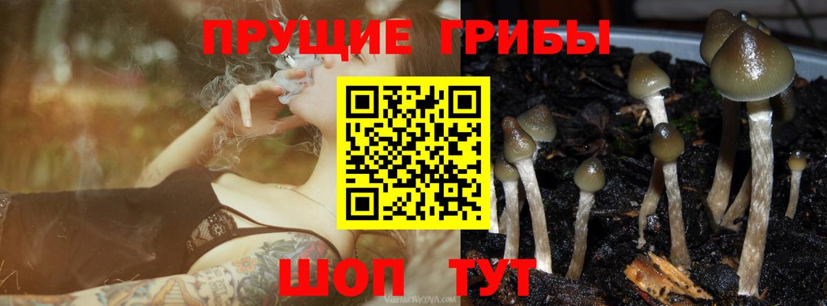 Галлюциногенные грибы ЛСД Зима